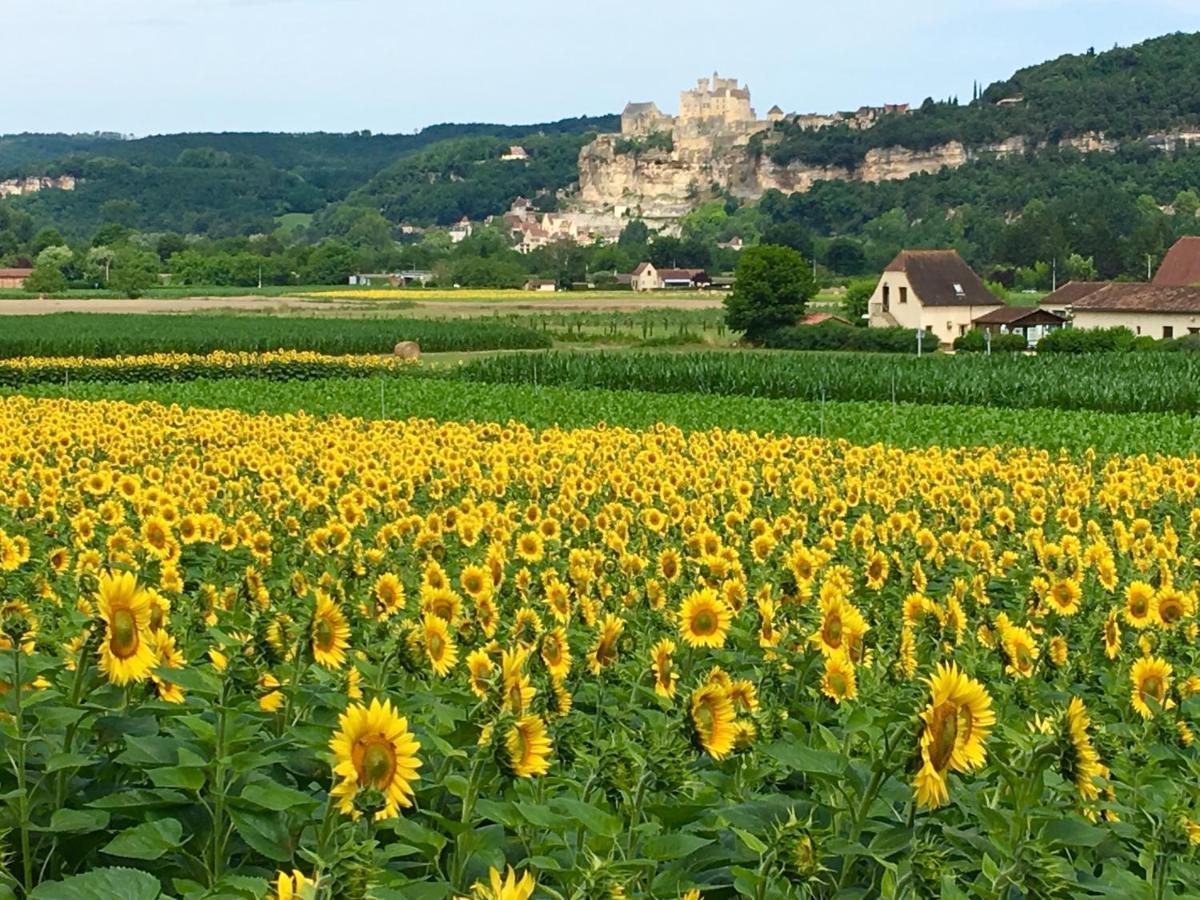 La Source, Beynac, Dordogne Hotel Exterior photo
